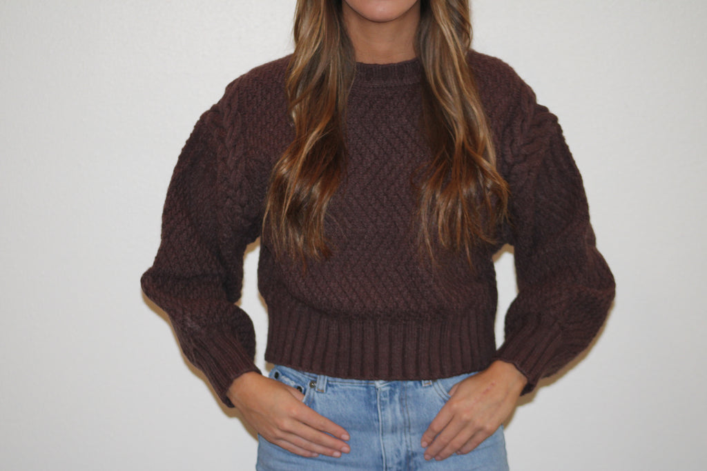 Chocolate Braided Sleeve Sweater