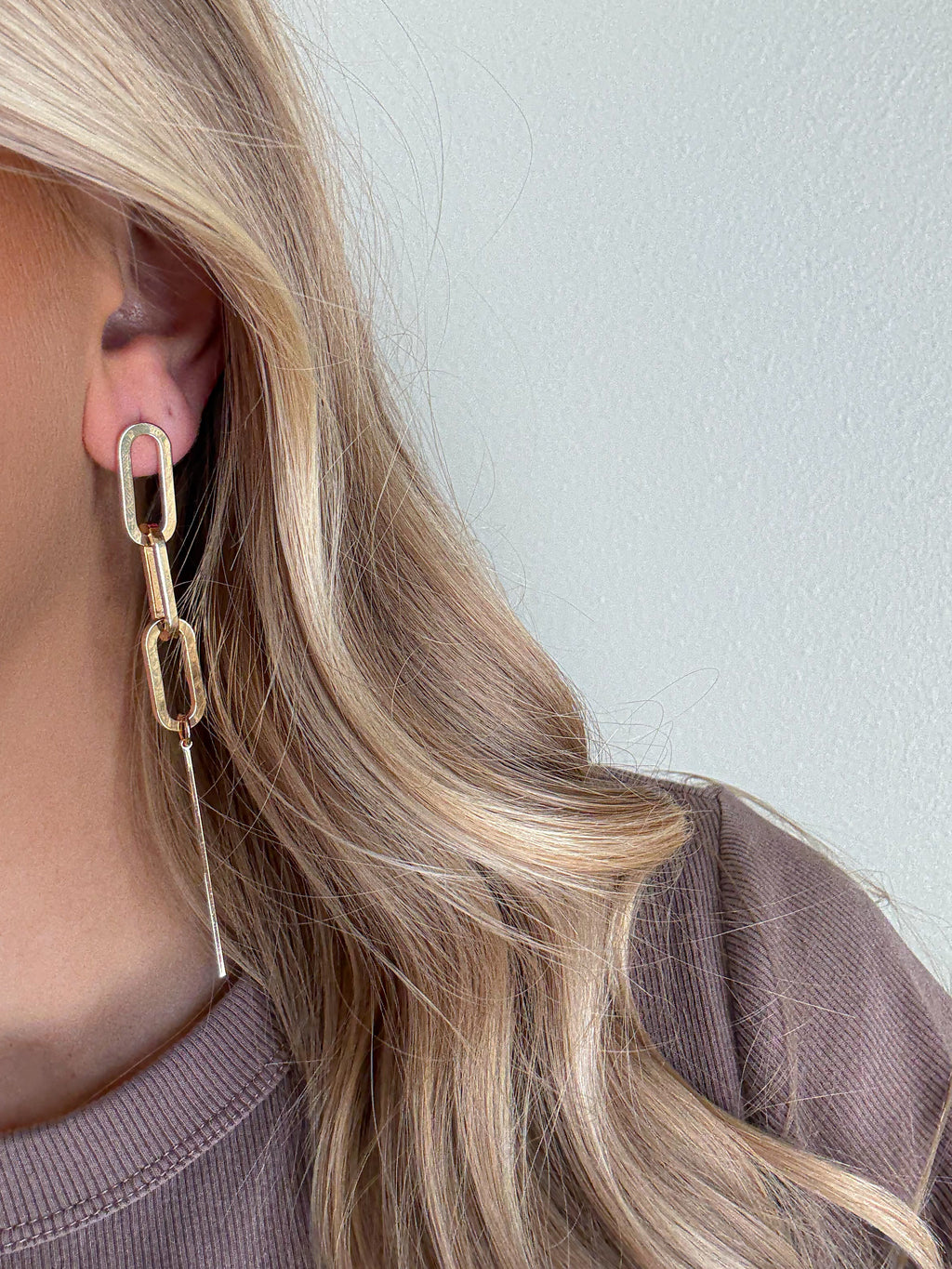 Oval and Bar Earrings