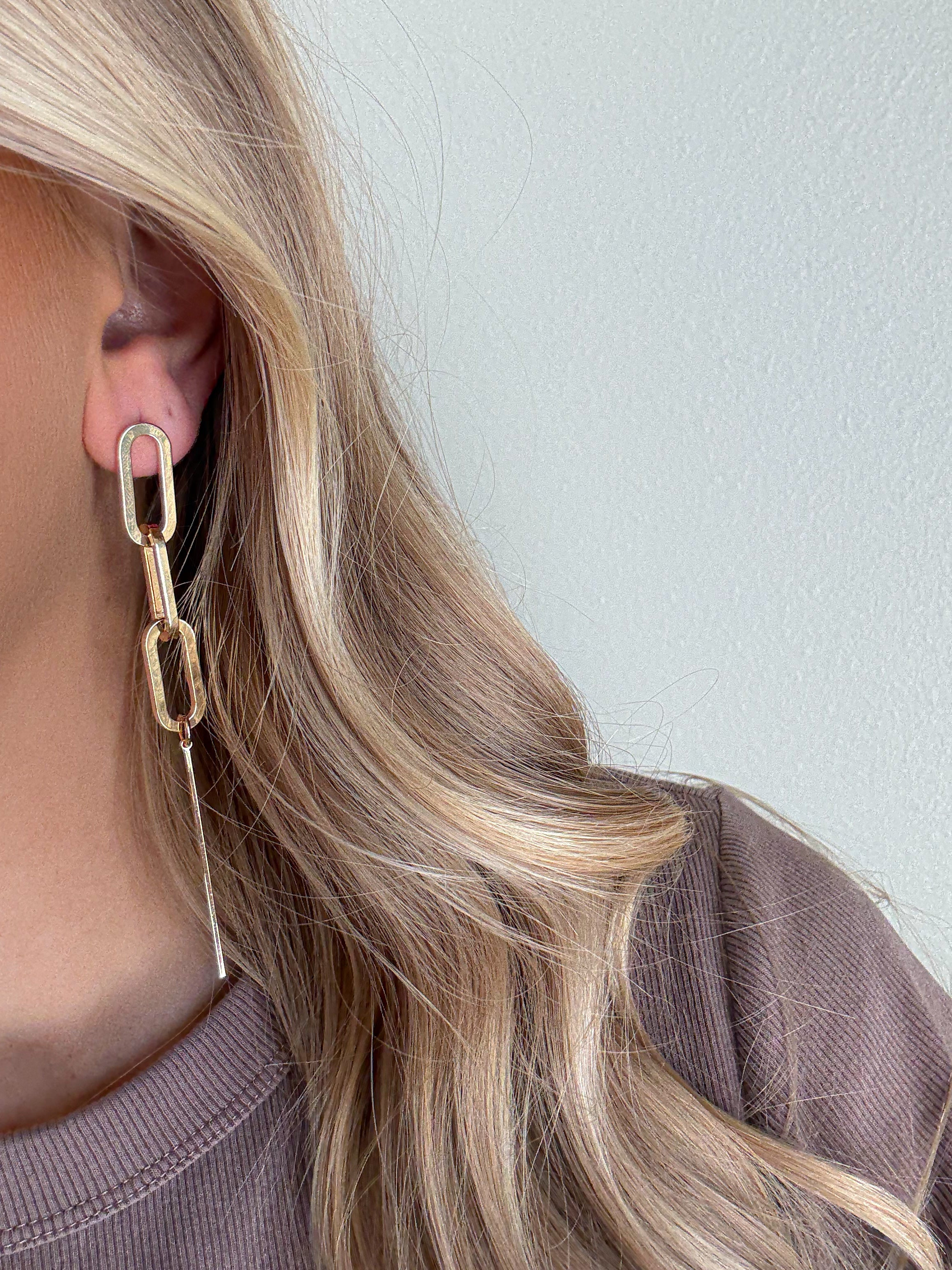 Oval and Bar Earrings